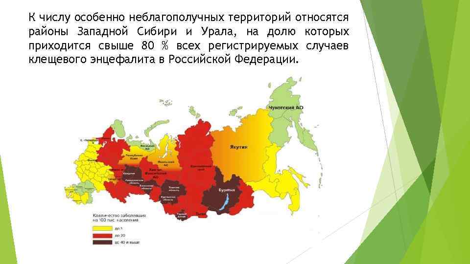 Где в россии обитают энцефалитные клещи и чем они отличаются от обычных?