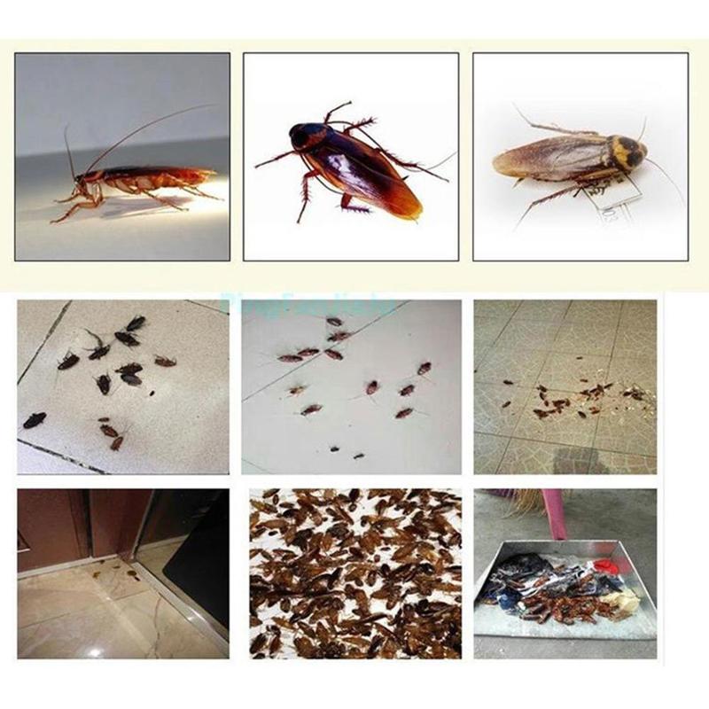 Порошки от тараканов: обзор эффективных средств