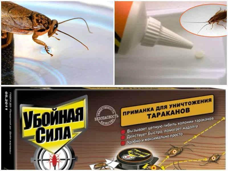 Полезная информация для покупателей о геле от тараканов «убойная сила»