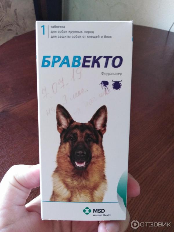 Бравекто для собак: инструкция, капли и таблетки от клещей