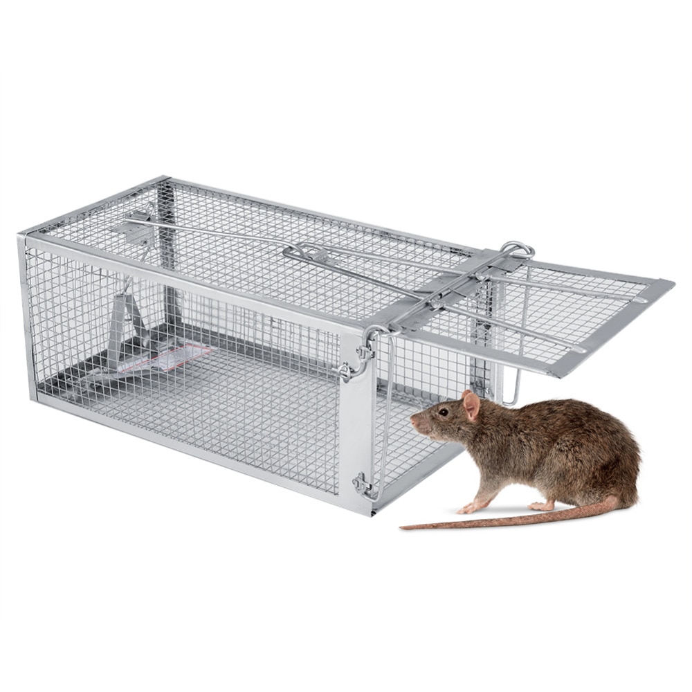 Как поймать крысу