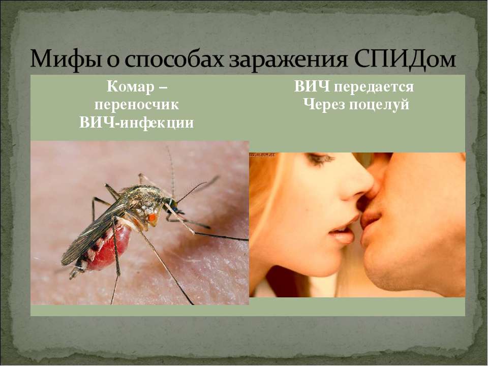 Можно ли заразиться ВИЧ при укусе комара: мнение врачей