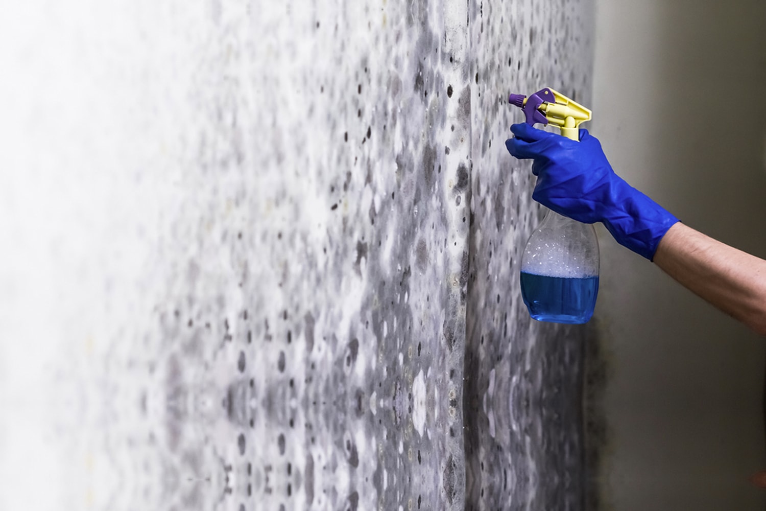 Способы применения медного купороса против грибка на стенах: как разбавить и наносить, техника безопасности
