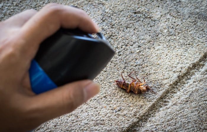От соседей ползут тараканы куда жаловаться