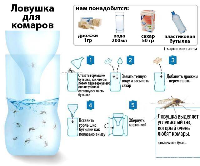 Как избавиться от комаров в доме: топ-10 способов