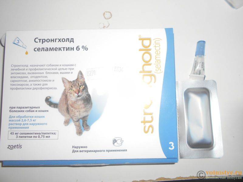 Стронгхолд для кошек: состав, применение, отзывы о препарате