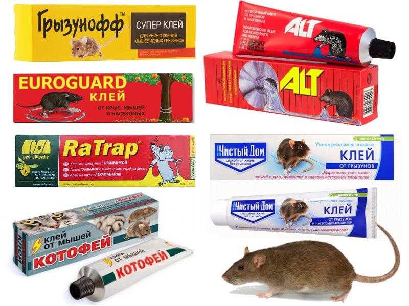 Чем отмыть клей для мышей и устранить неприятный запах