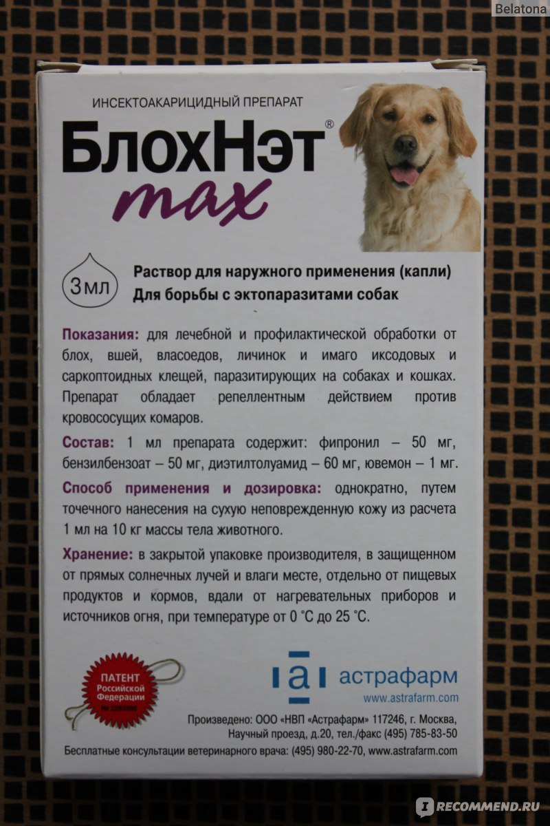 Средство от блох для собак – как вывести паразитов народными средствами, рекомендации по профилактике