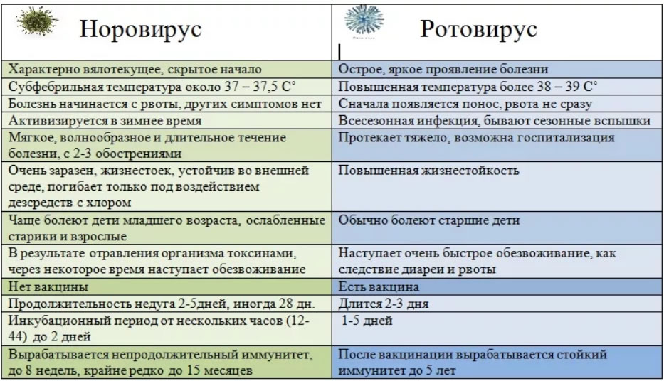 Антибиотики и противовирусные препараты: в чем отличия?