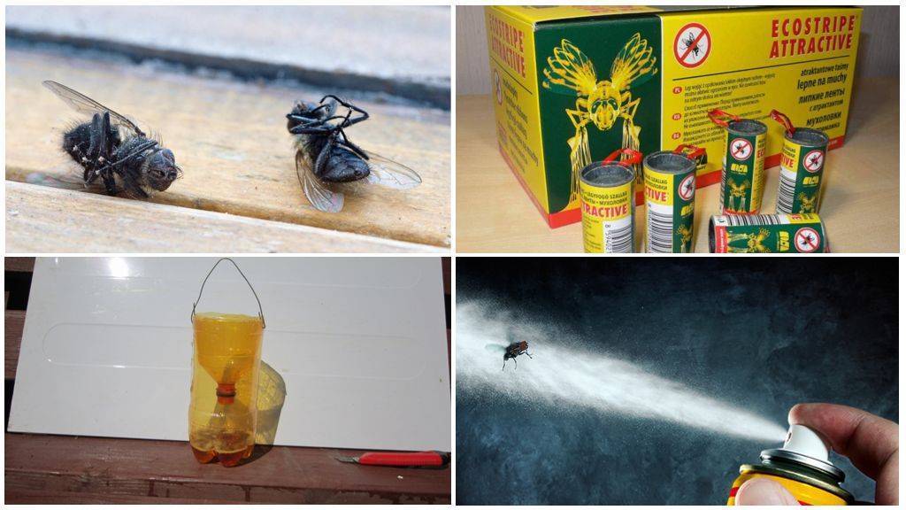 Как избавиться от мух в доме или квартире: химические и народные средства