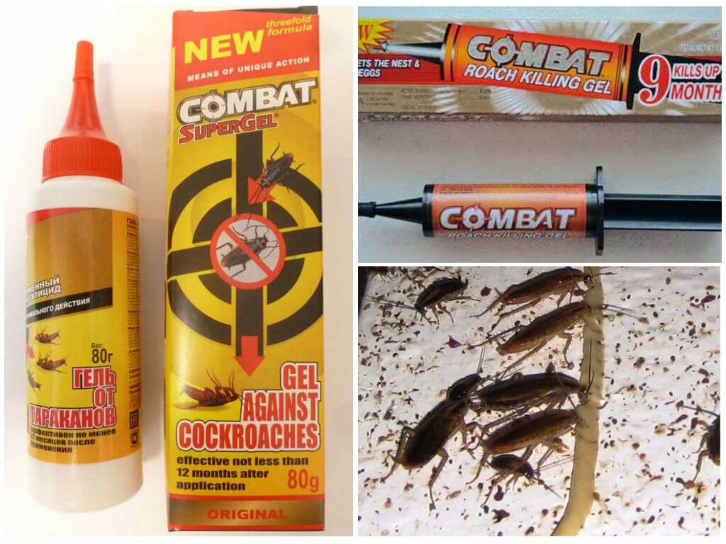 Комбат от тараканов: ловушки, гели, аэрозоли, спреи. обзор