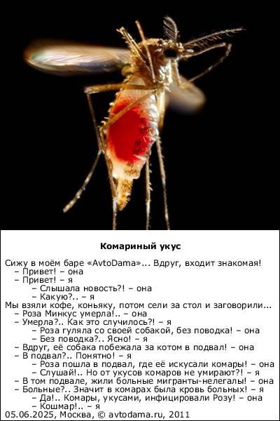 Кого чаще кусают комары?
