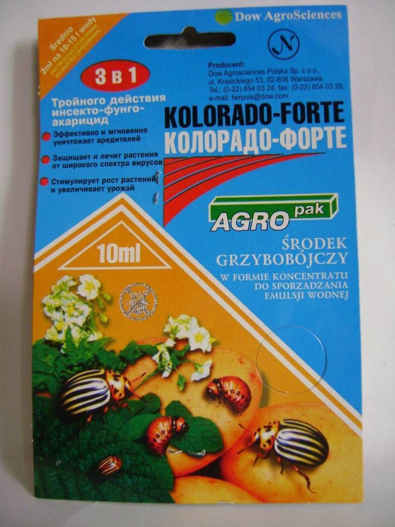Самые эффективные средства от колорадского жука :: sotkiradosti.ru