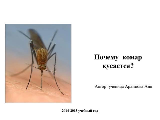 Отчего некоторых людей чаще всего кусают комары?