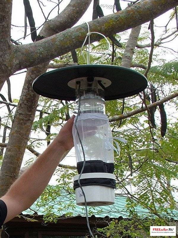 Как самостоятельно сделать ловушку для комаров?
