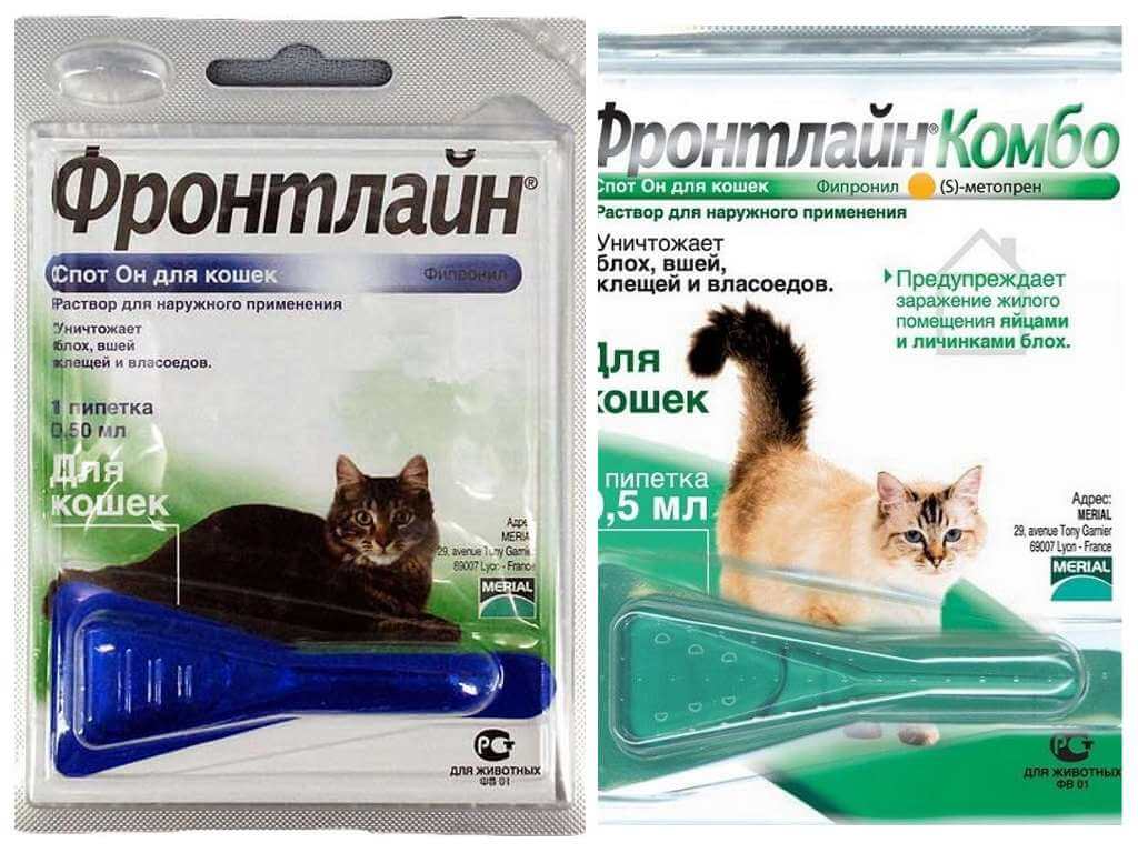 Капли от блох для кошек: как выбрать, инструкция к применению, а также варианты для котят русский фермер
