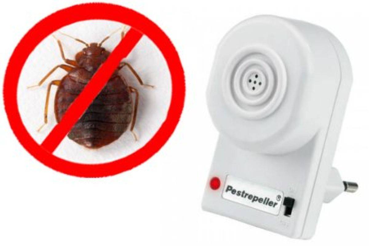 Pest reject отзывы. поможет pest reject избавиться от клопов или нет