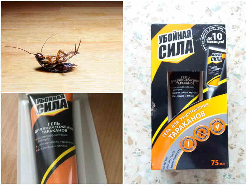 Гель убойная сила от тараканов: описание, инструкция по применению и отзывы