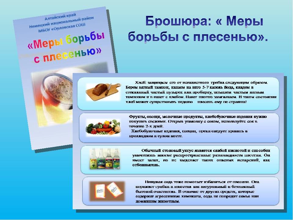 Почему появляется плесень в квартире