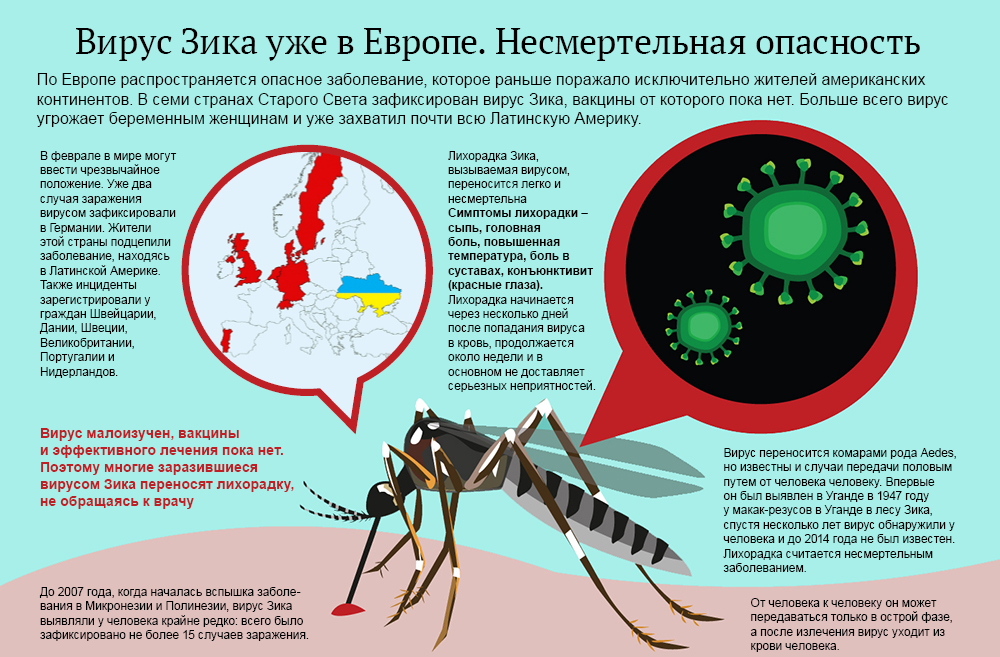 Возбудитель передается через укусы насекомых. Вирус Зика комар.