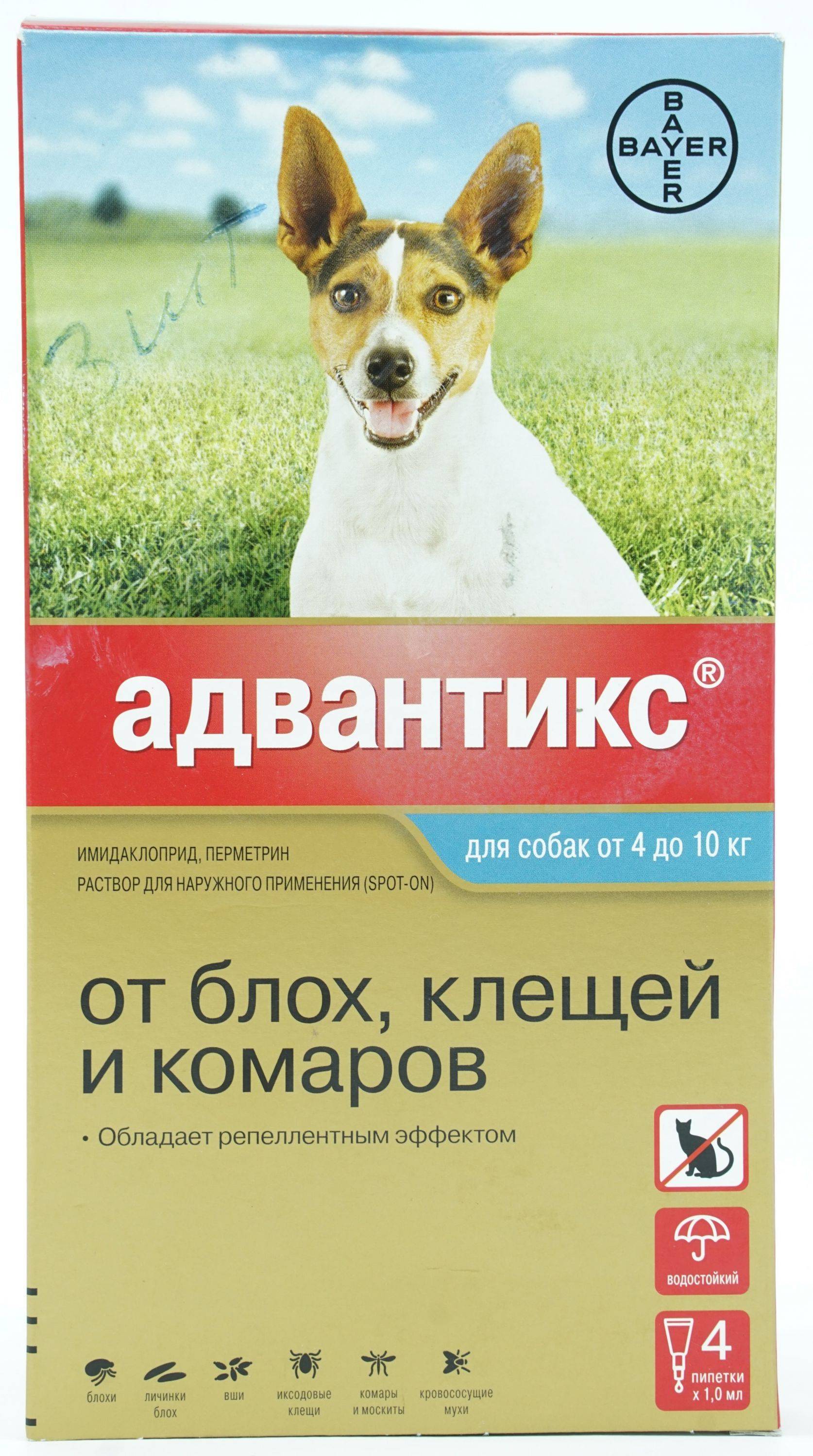 Капли адвантикс для собак: инструкция по применению и отзывы