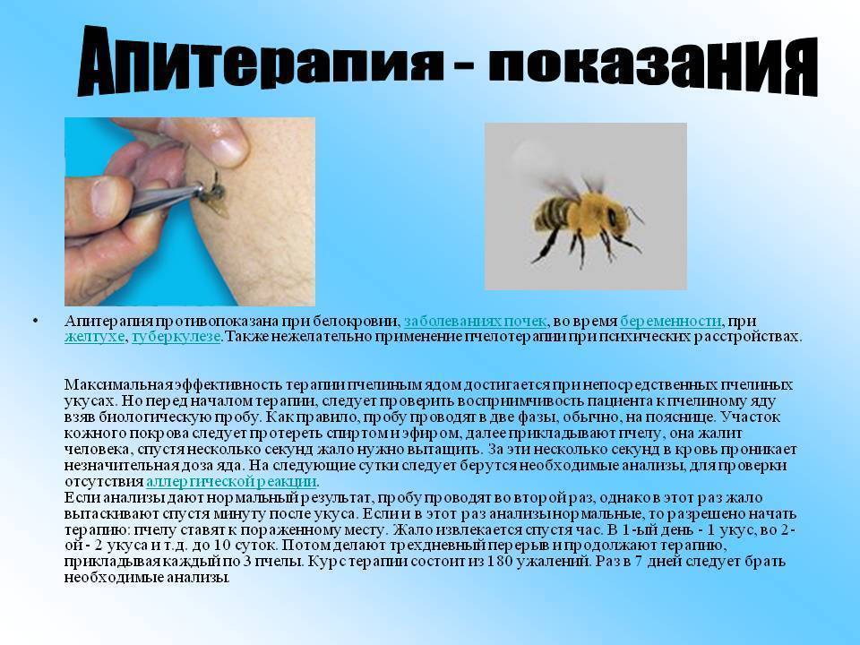 Польза и вред граната для здоровья: советы врача
