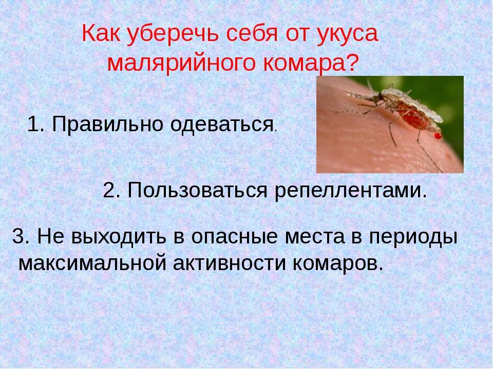 Как уберечься от укусов. Что делать при укусе малярийного комара. Укус малярийного комара симптомы. Место укуса малярийного комара.