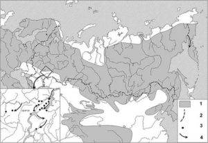 Жук