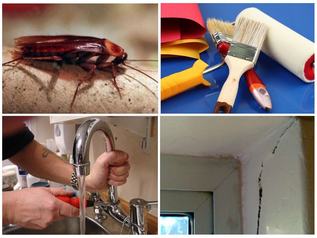 Чего боятся тараканы в квартире — топ10