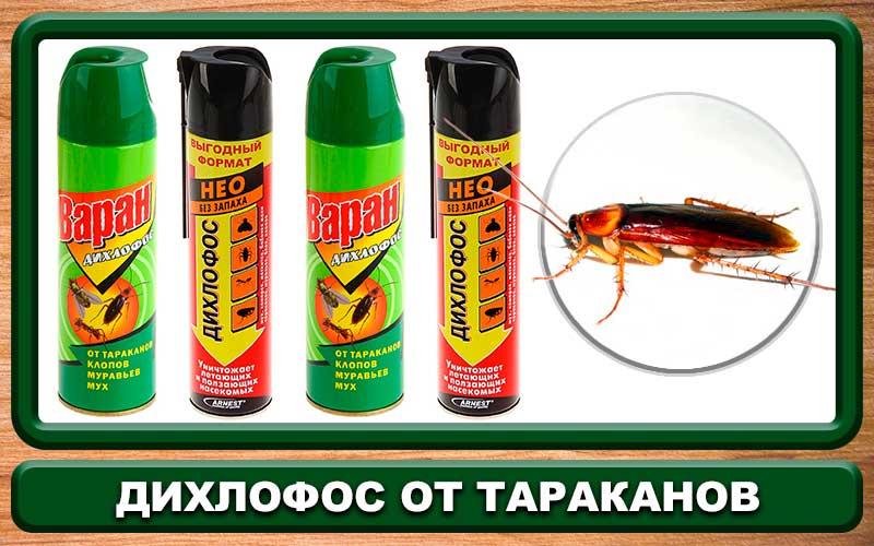 Обзор средства дихлофос от тараканов: инструкция по применению, отзывы