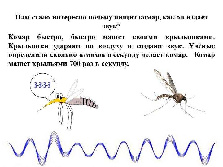 Звуки, отпугивающие комаров