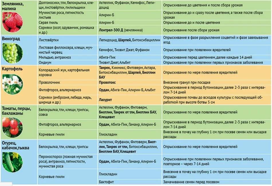 Как избавиться от тли: какие меры борьбы помогут, если заражены укроп, нимфеи в огороде, какими методами и средствами навсегда вывести вредителя с садового участка? selo.guru — интернет портал о сельском хозяйстве