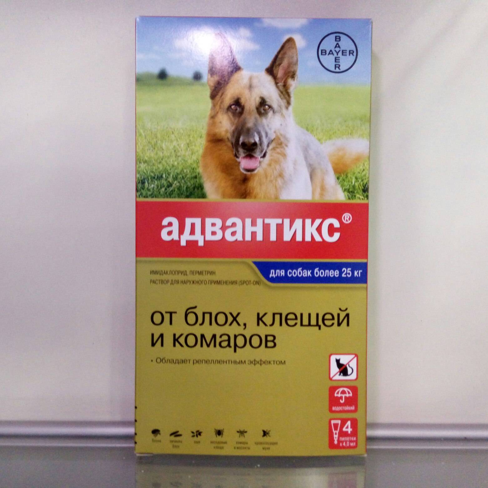 Описание и отзывы владельцев домашних животных о каплях от клещей для собак “адвантикс”