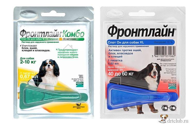 Фронтлайн для собак: виды препаратов и инструкция по применению
