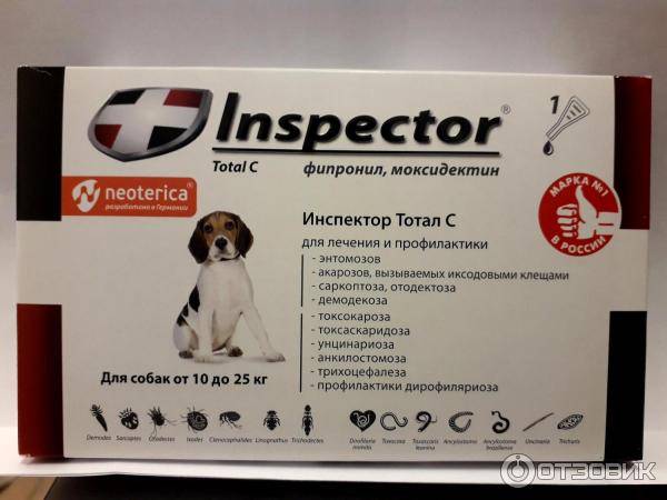 Инспектор – капли для собак: инструкция по применению, отзывы