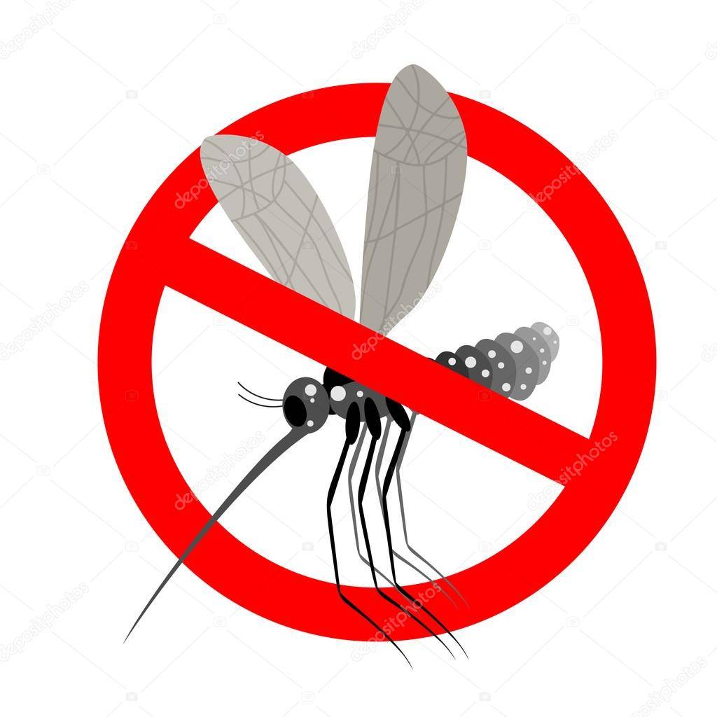 Что означает образ комара во сне – толкования по сонникам и согласно народным поверьям. кусают комары