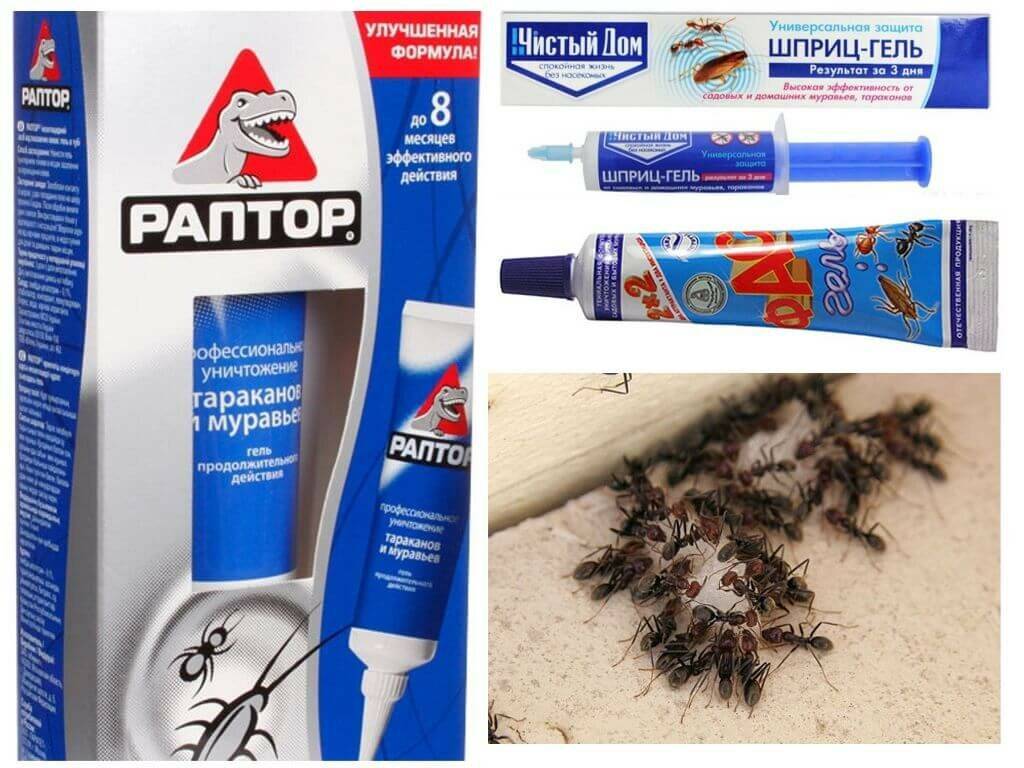 Средство от муравьев в квартире: отпугиватель, аэрозоль, порошок, гель и приманка русский фермер