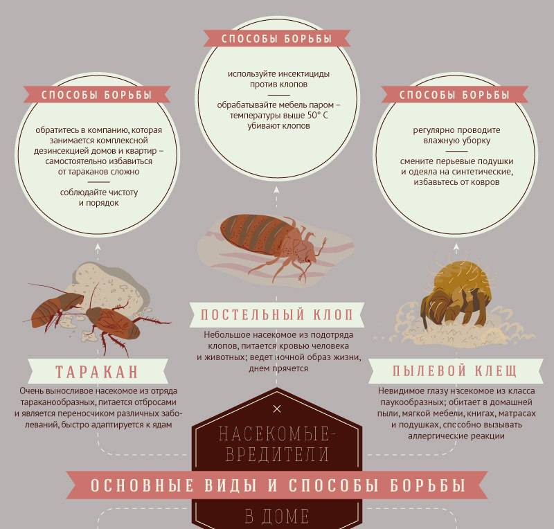 Чем опасны для человека живущие в квартирах тараканы?