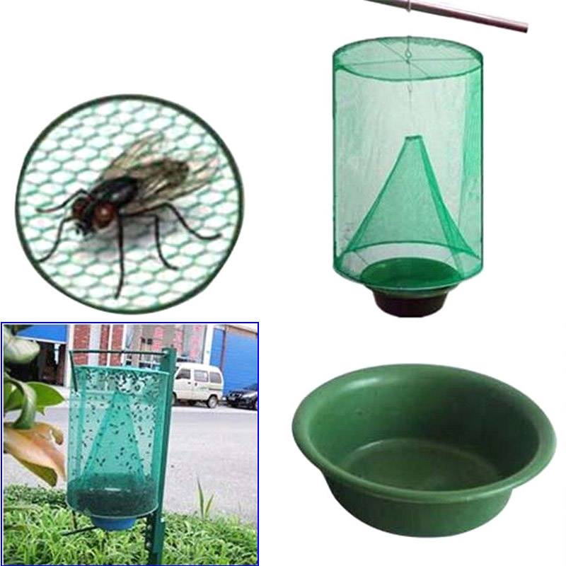 Все средства, которые помогут избавиться от мух в доме