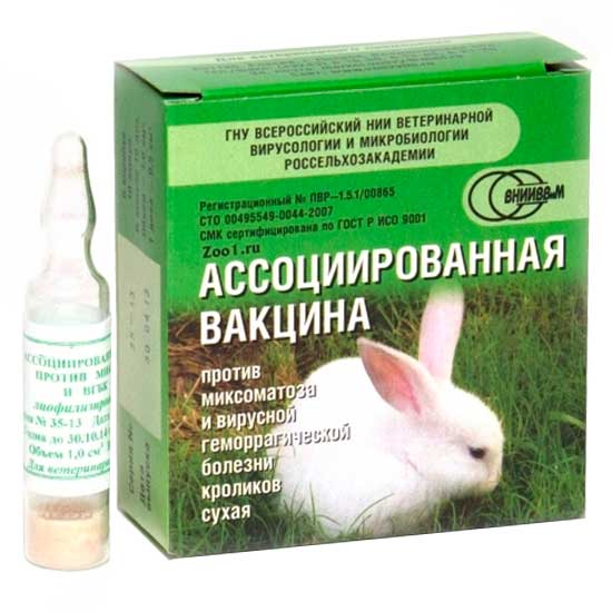 Блохи у кроликов: обзор лучших средств и лечение народными методами