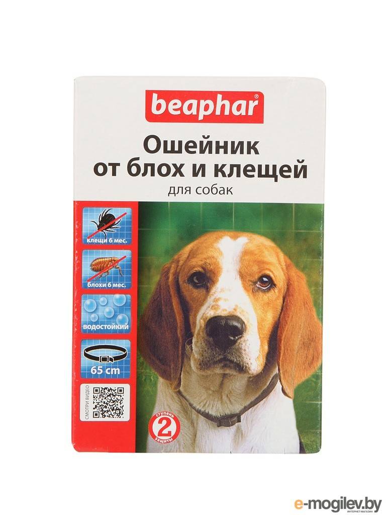 Ошейник от блох и клещей. виды и особенности ошейников от блох и клещей | животный мир