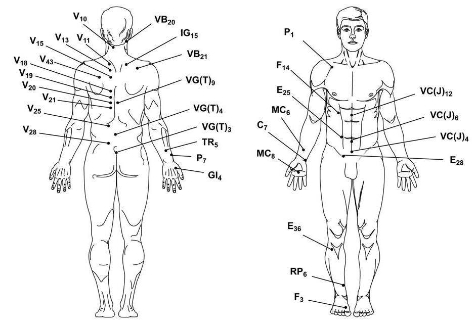 Найти точки на теле. Схема точек апитерапии. Точки на теле человека при апитерапии. Апитерапия схемы точек воздействия. Схема точек ужаливания пчелами.