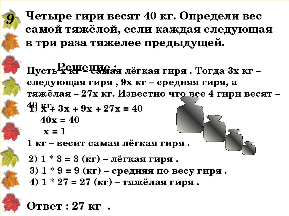 Во сколько муравей поднимает больше себя. муравей самый сильный в природе