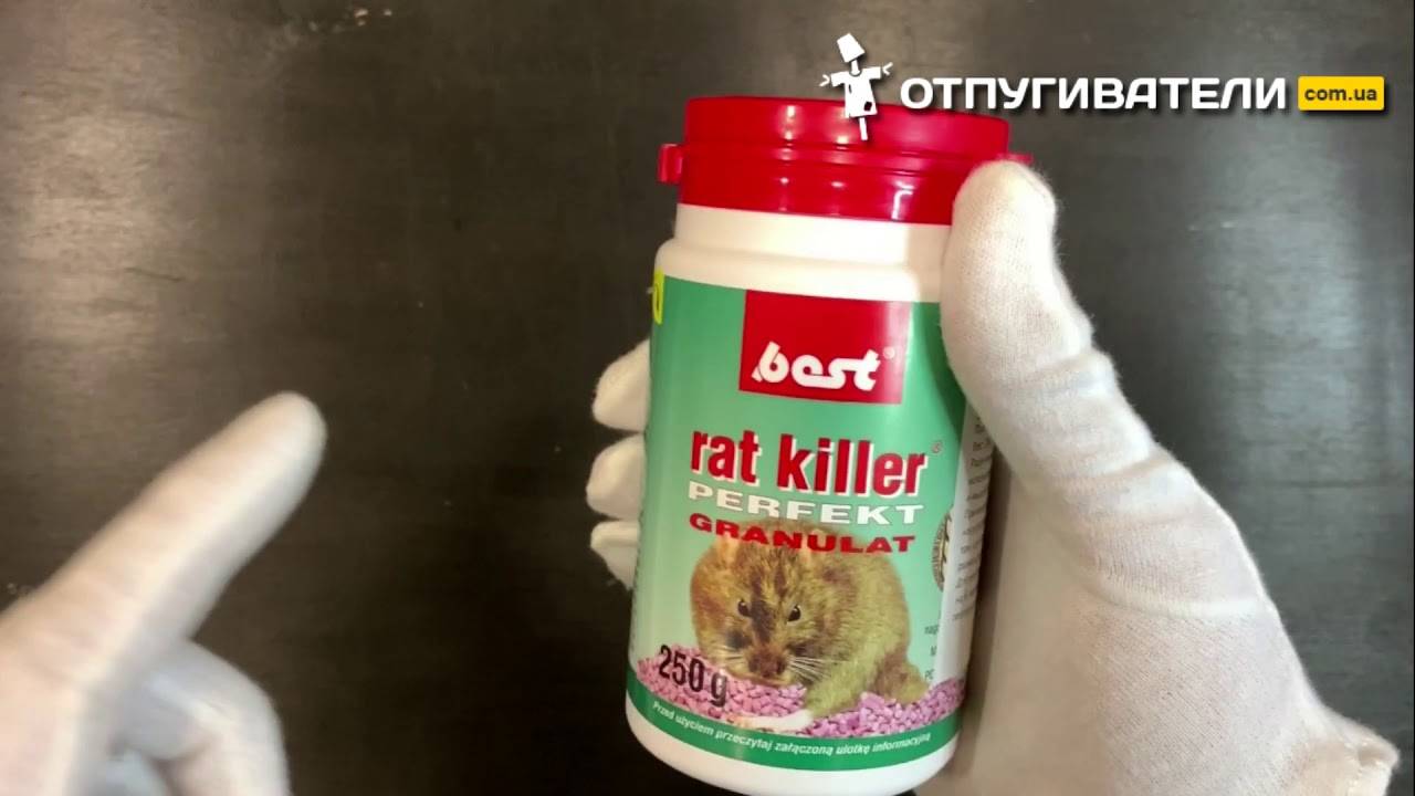 Видеоинструкция по применению отравы от грызунов “Best Rat Killer”