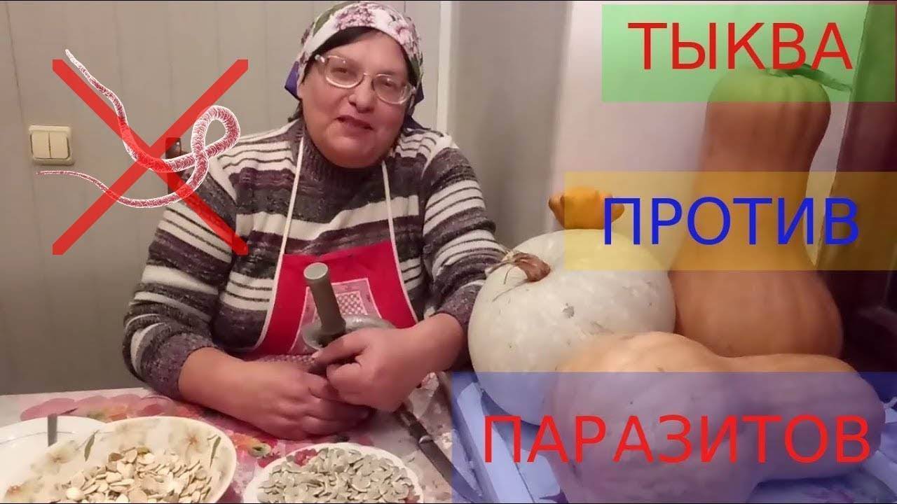 Тыквенные семечки от глистов: как принимать