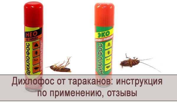 Дихлофос от тараканов — эффективность, правила использования и отзывы покупателей