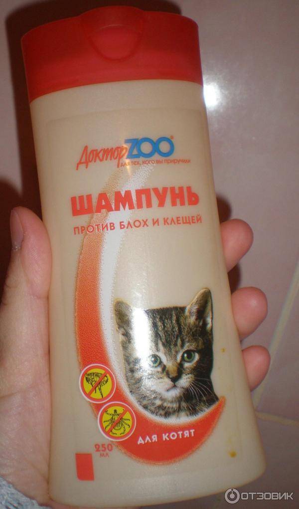Шампуни от блох для котят, а также другие виды средств русский фермер