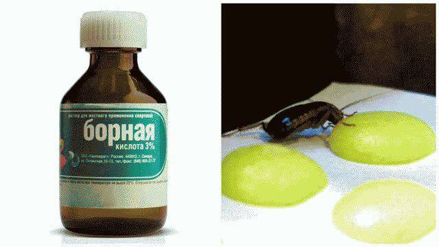Средства от тараканов с борной кислотой - рецепты своими руками