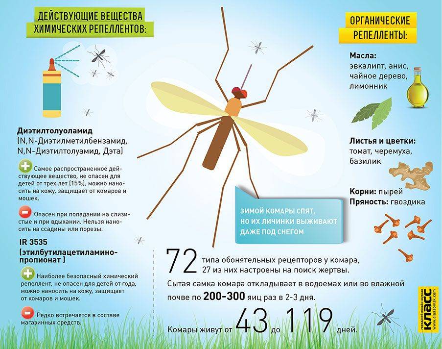 Визуальную информацию несет вкус яблока звук грома картина комариный укус