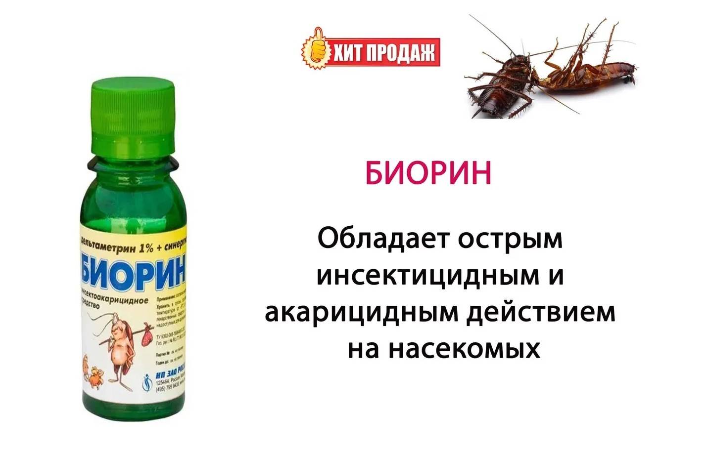 Инсектицид регент 800 – инструкция по применению, отзывы об эффективности препарата против насекомых